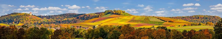 Le château de Wildeck au-dessus d’Abstatt et de la haute vallée de la Schozach