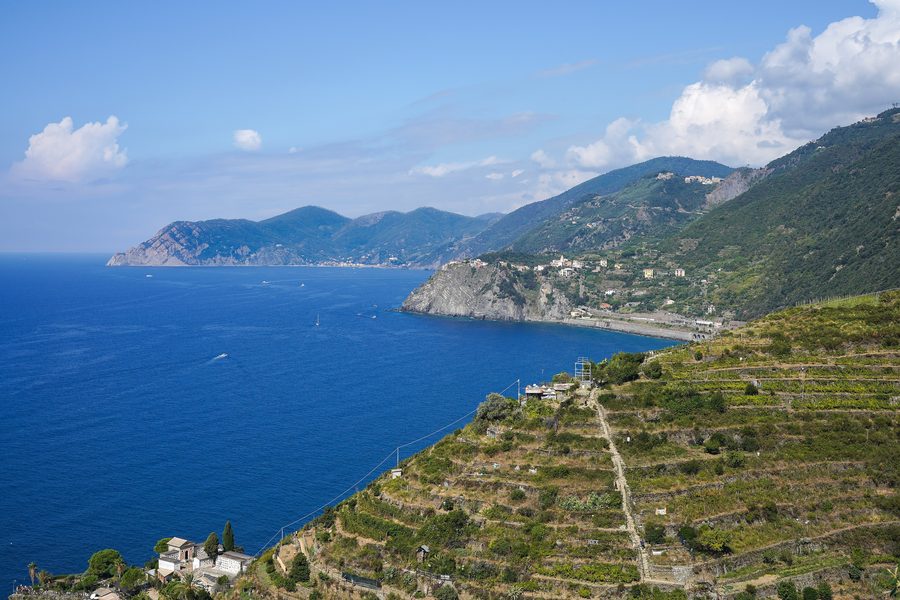 Vue panoramique du littoral des Cinque Terre depuis au-dessus de Manarola, avec des collines escarpées au-dessus de la mer Ligure.