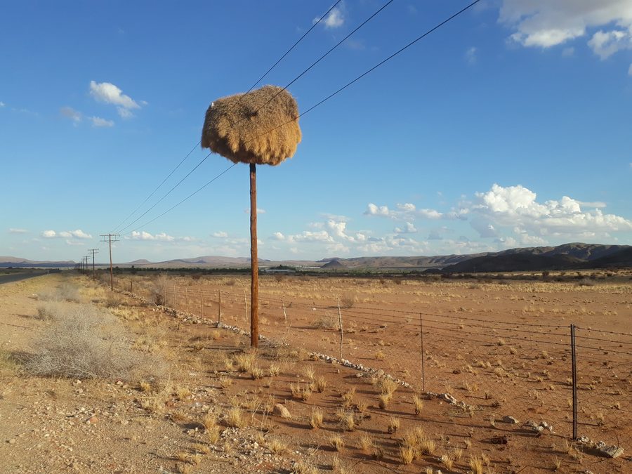 Vue sur une route lors d’un voyage sur la côte nord-ouest de l’Afrique du Sud.
