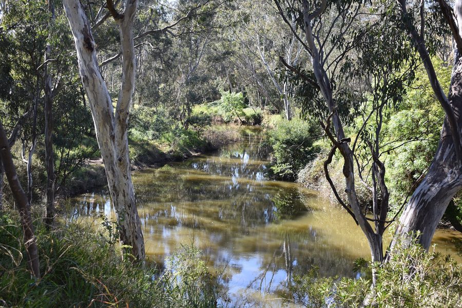 Maribyrnong River près de Keilor dans le Victoria