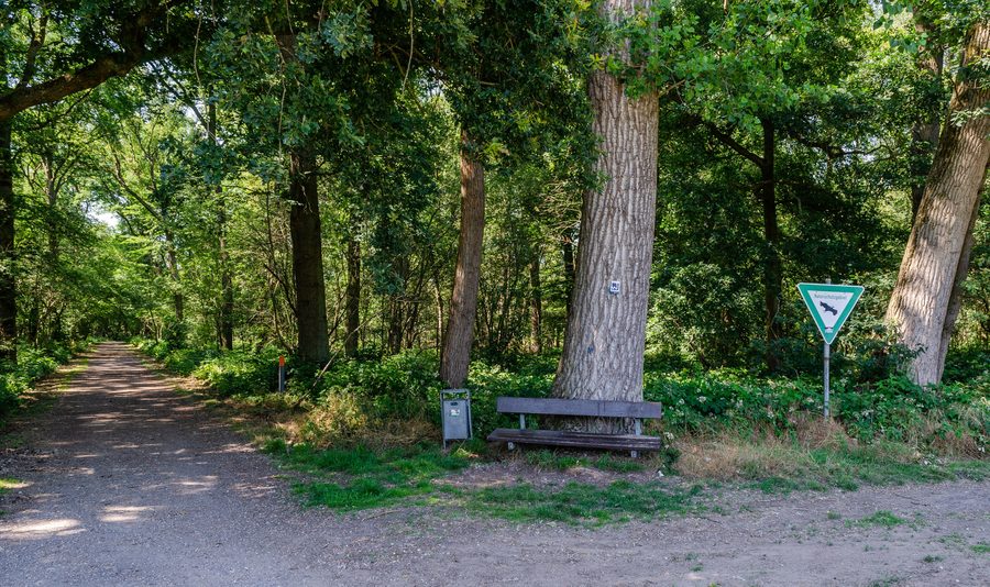 Forêt à la Stemmesheide près des lacs de Nettetal à Nettetal