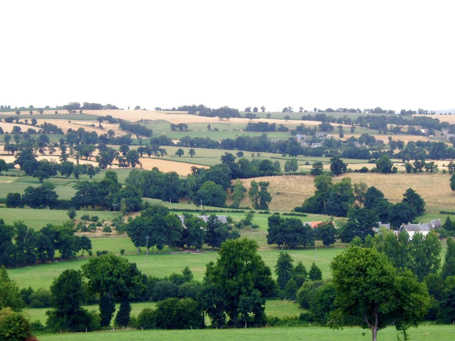 Paysage bocager idyllique et rural en Basse-Normandie