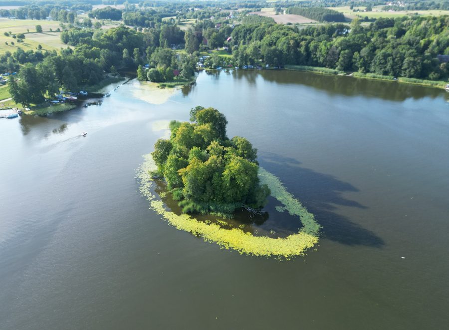 Île à l’extrémité nord du lac Ruda-Woda, près de l’entrée du canal d’Elbląg