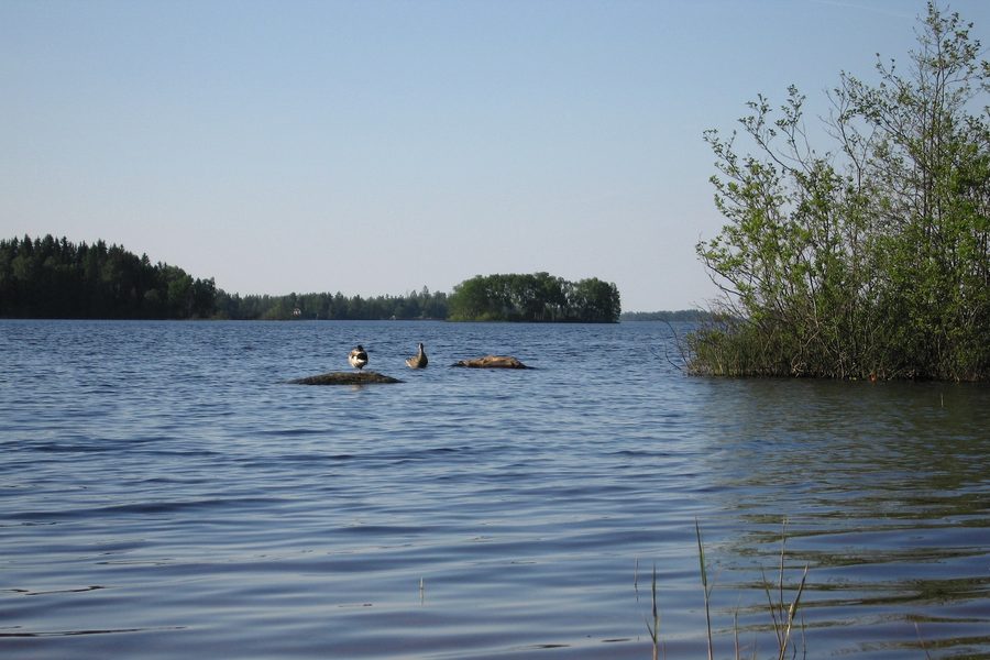 Lac Möckeln près d’Älmhult, en Småland