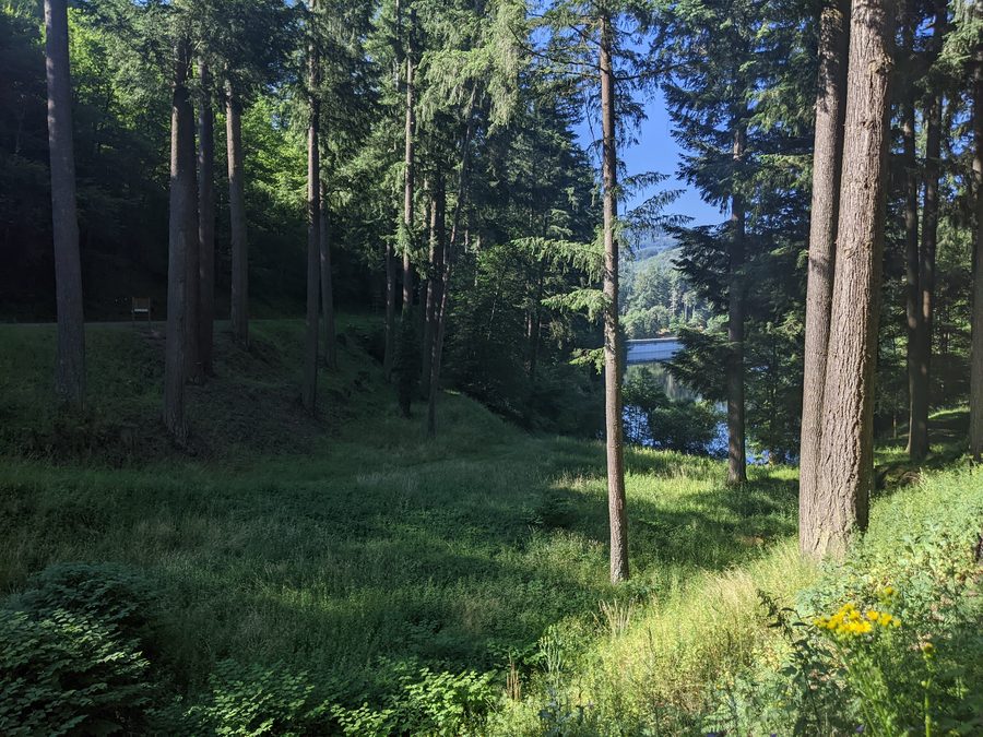 Vallée verdoyante avec vue sur le réservoir du barrage de La Tache près de Renaison
