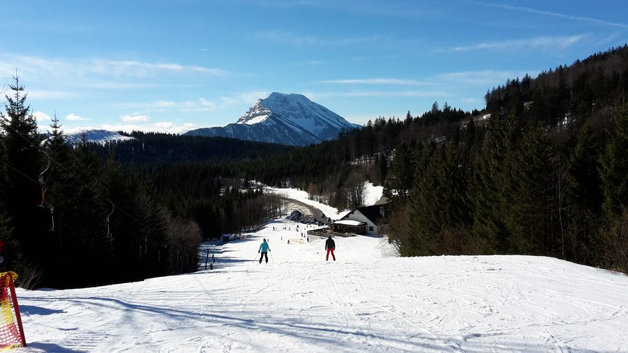 Vue depuis le Turmkogel près de Puchenstuben sur le paysage montagneux boisé avec l’Ötscher à l’arrière-plan
