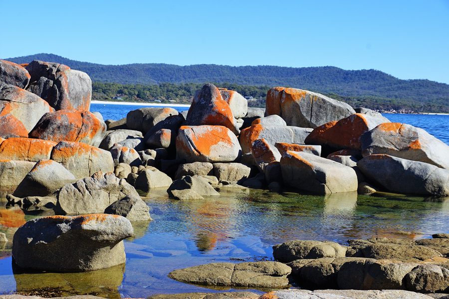 Des rochers couverts de lichens sur le littoral de Bay of Fires en Tasmanie.
