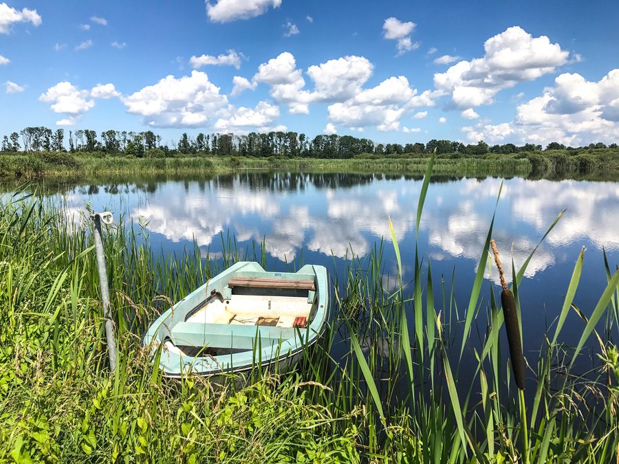 Grenztalmoor près de Tribsees en Mecklembourg-Poméranie-Occidentale