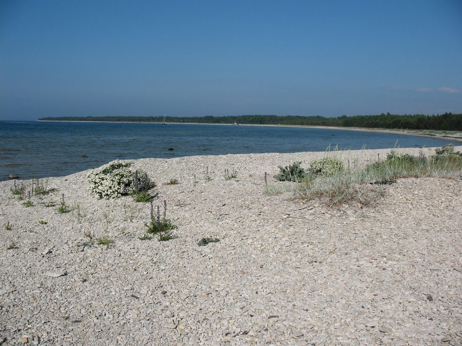 Paysage côtier à la baie d’Alliklepa