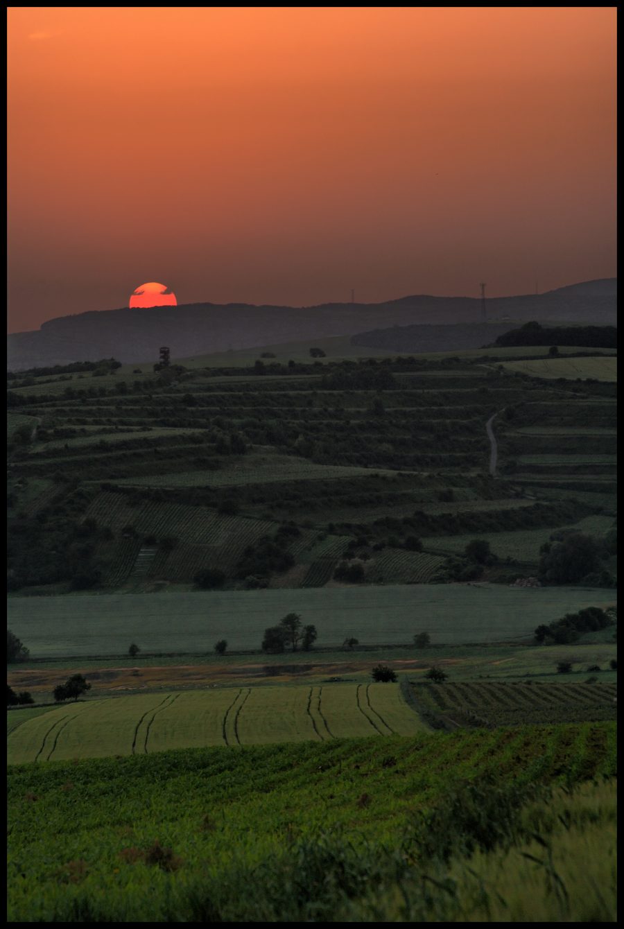 Vignobles et terres agricoles en Moravie du Sud au coucher du soleil