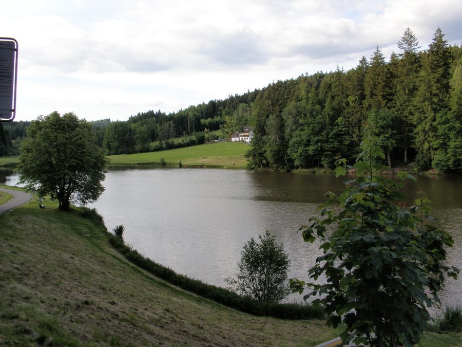 Le bassin de rétention des crues de Reichenbach près de Spraitbach dans un paysage de vallée boisé.