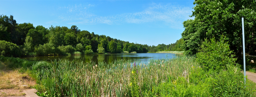 Panorama du Vogelwoog près de Kaiserslautern