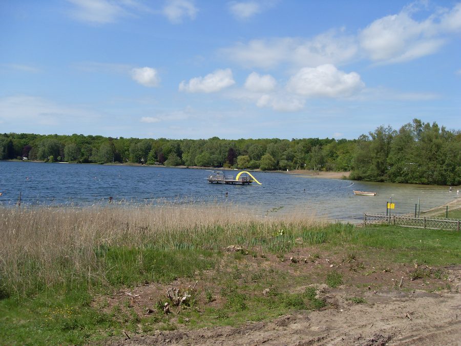 Lieu de baignade au Ihlsee dans la réserve naturelle d'Ihlsee et Ihlwald près de Segeberg