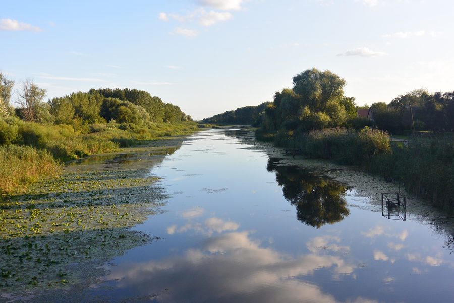 Le canal Ferenc près de Dávod entre Dávod et Dávod-Püspökpuszta
