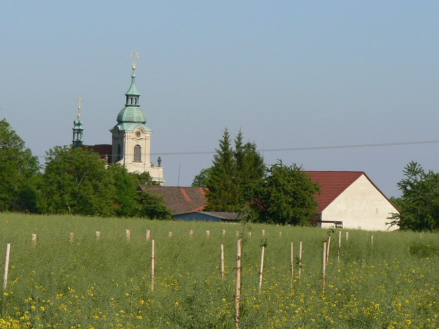 Église Saint-Venceslas dans le village de Vysoká, dans le district de Mělník