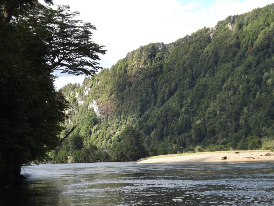 Le Río Blanco à Puerto Aysén au Chili