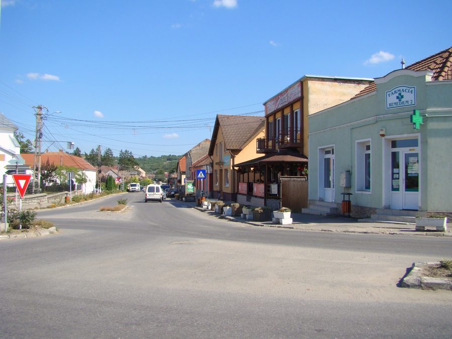 Scène de village à Crasna, dans le département de Sălaj, en Roumanie.