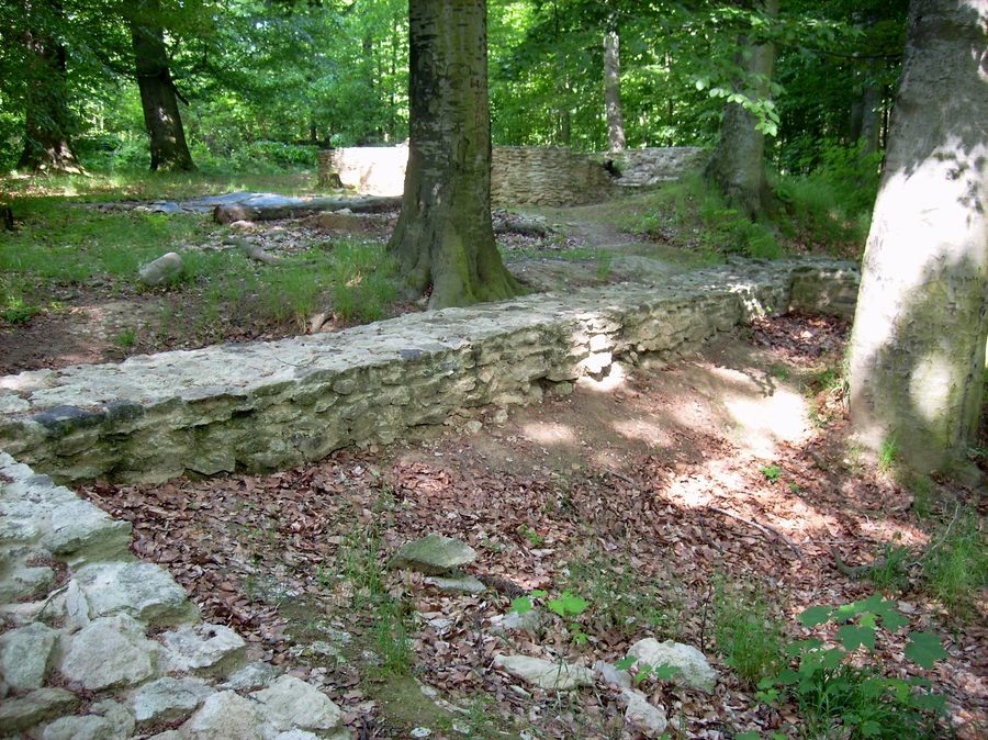 Ruine du château près de l’étang de l’église à Nennewitz dans la forêt de Wermsdorf