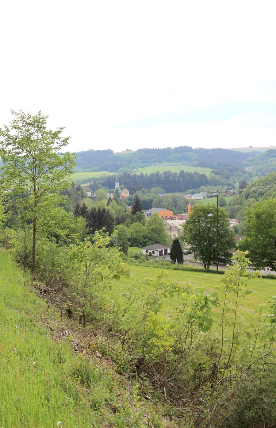 Vue panoramique sur l'Irsental près d'Irrhausen dans l'Eifel