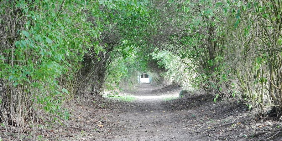 Sentier de randonnée près du château de Warnsdorf au lac de Hemmelsdorf