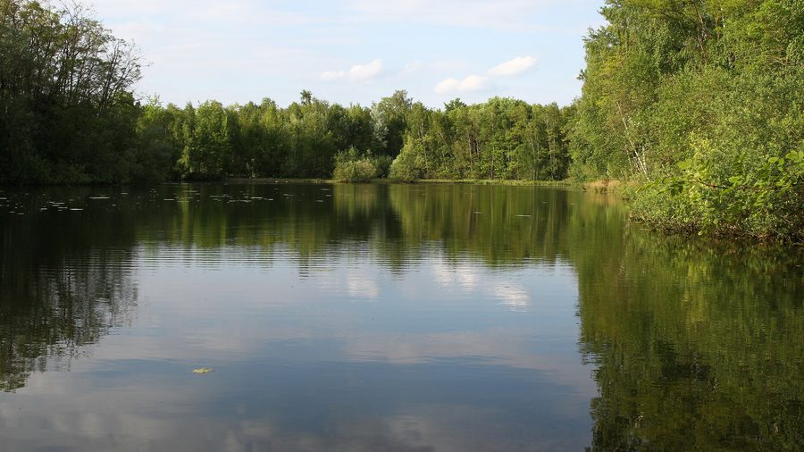 Réserve naturelle d'Ellerstadter Weiher dans l'arrondissement de Bad Dürkheim en Rhénanie-Palatinat