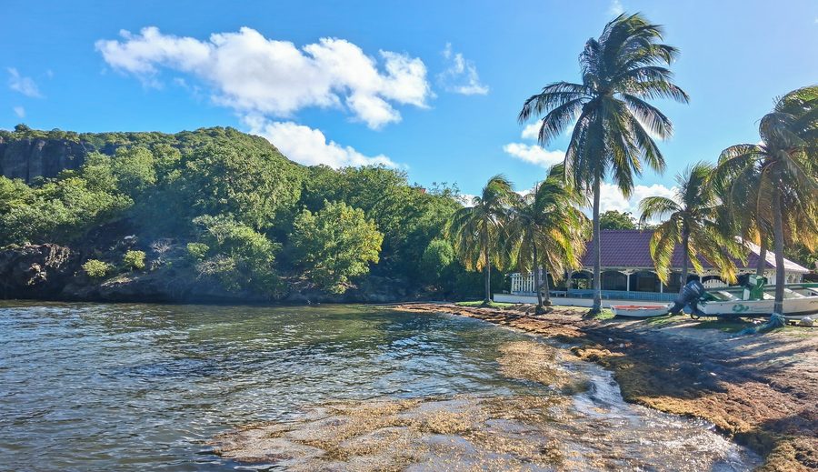 Vue de la plage de Marigot à Terre-de-Haut en Guadeloupe