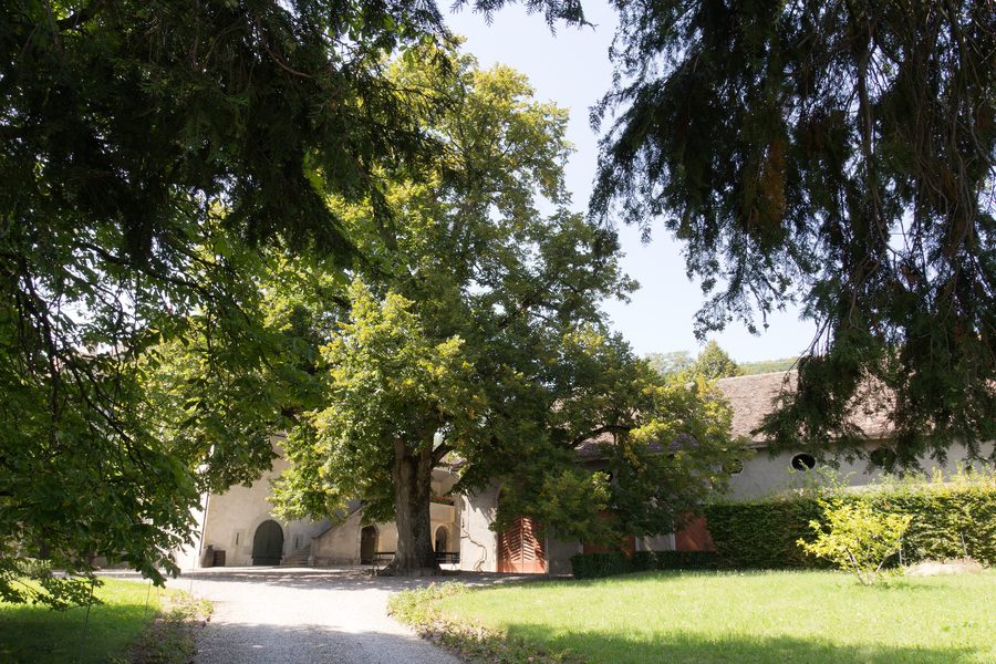 Accès au château de Luins avec chemin de gravier et pelouse