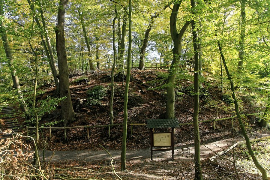 Butte 1 du château d’Elmendorf dans la réserve naturelle de Dreibergen