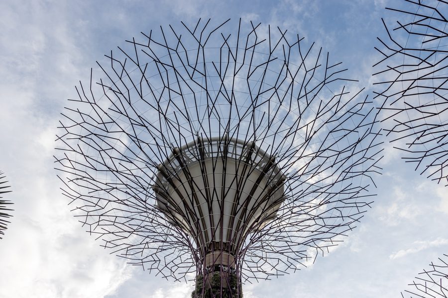 Supertrees à Gardens by the Bay à Singapour