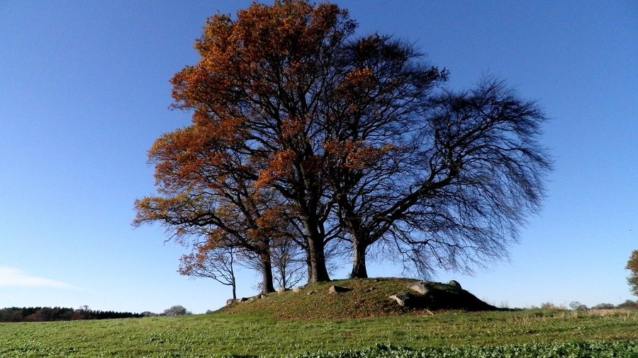 Dolmen allongé néolithique de Løkkeby à Langeland