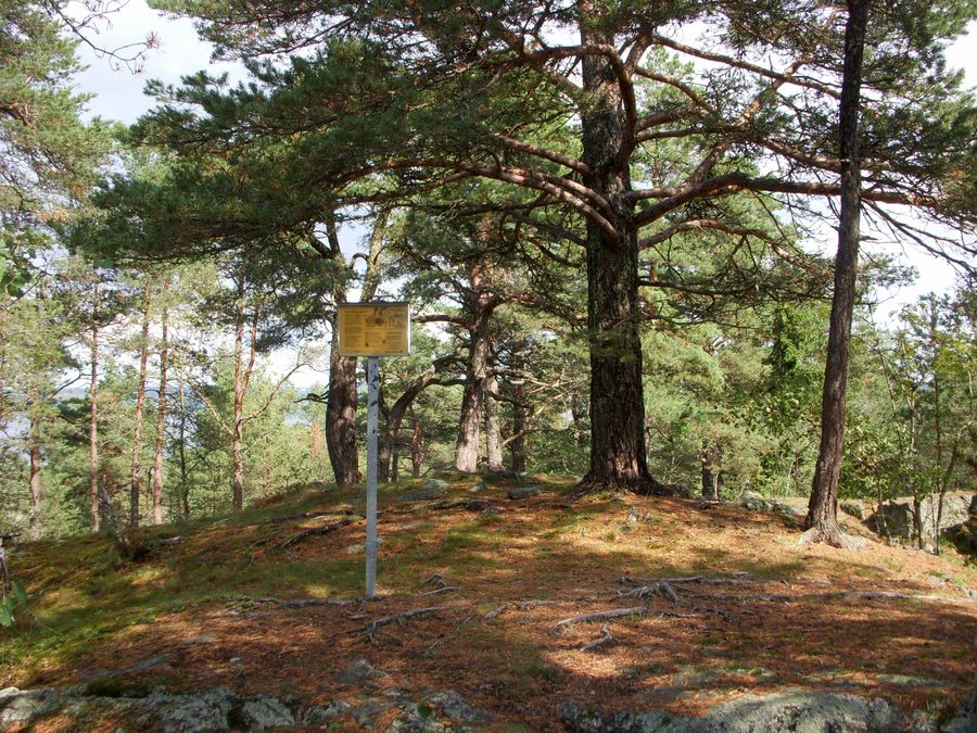 Tumulus de l’âge du bronze sur le sentier culturel de Hallunda à Botkyrka