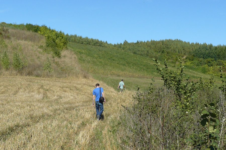 La vallée de la Noteć près de Morzewo en Pologne
