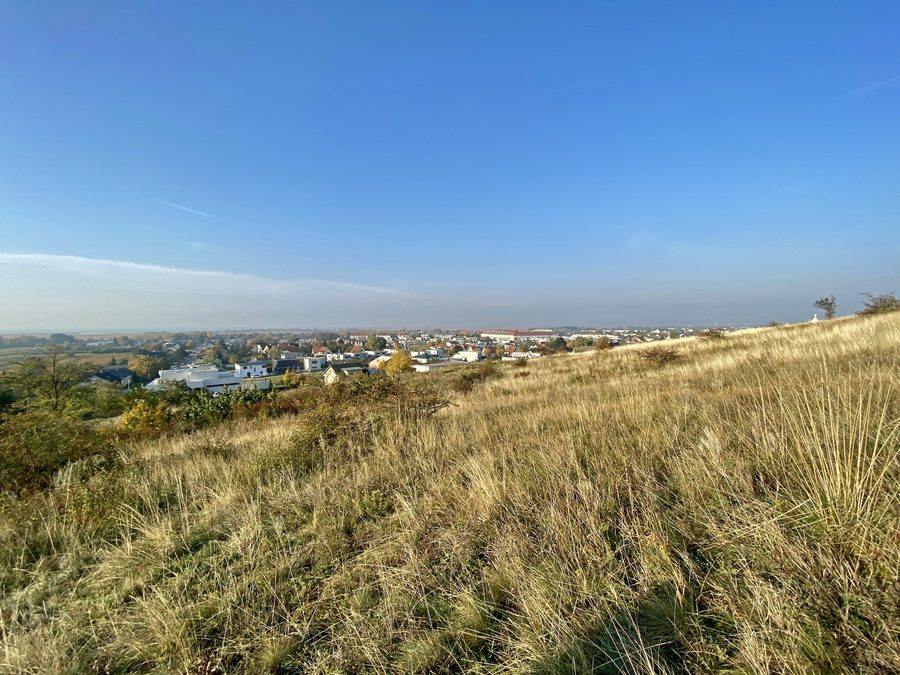 Vue du centre-ville de Neusiedl am See depuis le Kalvarienberg