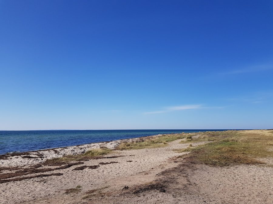 Plage sur Fehmarn dans la réserve paysagère de Krummsteert-Sulsdorfer Wiek