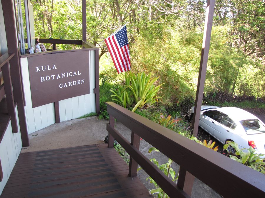 Végétation avec panneau d’information dans le Kula Botanical Garden à Maui