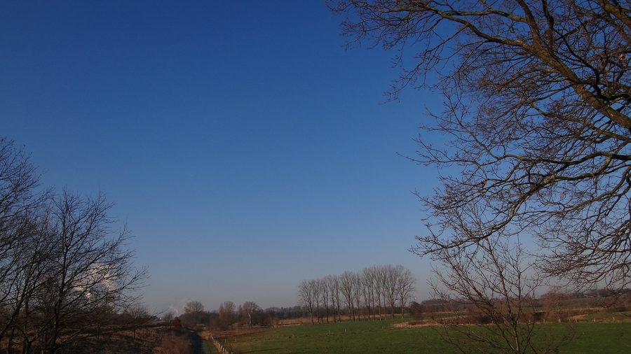 Vue sur la Lippe dans la réserve naturelle « Lippeaue de Stockum à Werne »