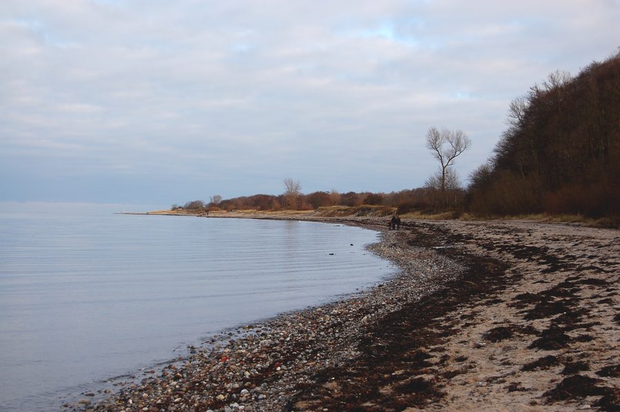 Côte escarpée près de Noer sur la baie d’Eckernförde