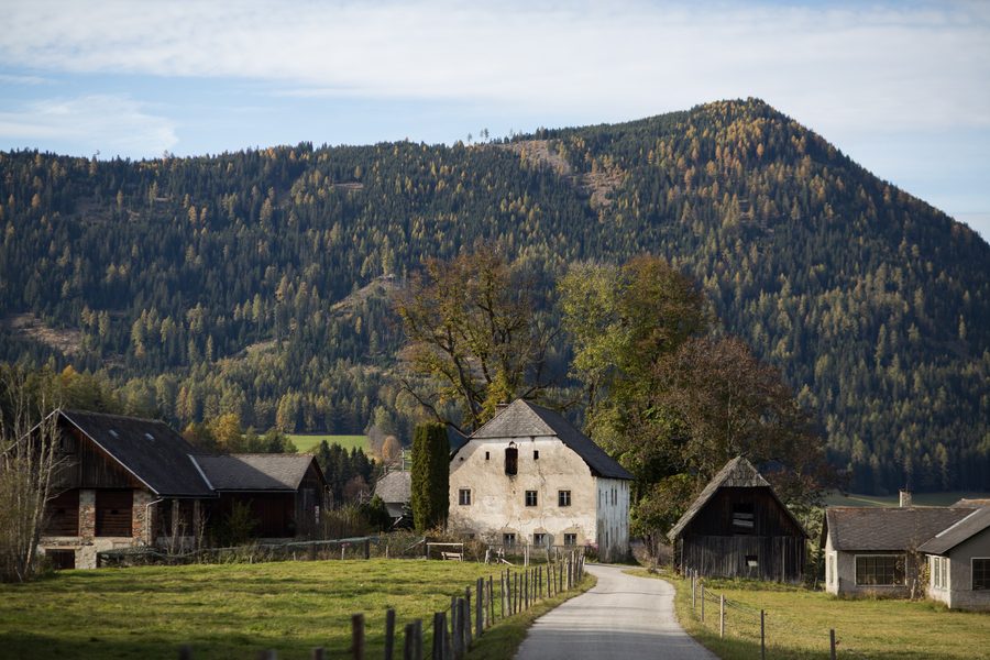Groupe d’arbres près de Zeutschach, un monument naturel en Styrie