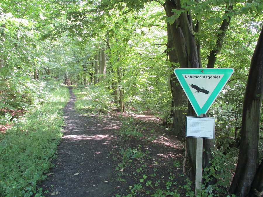 Début de la réserve naturelle de la forêt d’Arnsberg près de Niedereimer