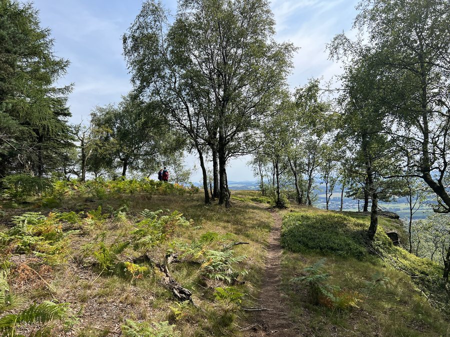 Formations de grès des Tiské stěny près de Tisá