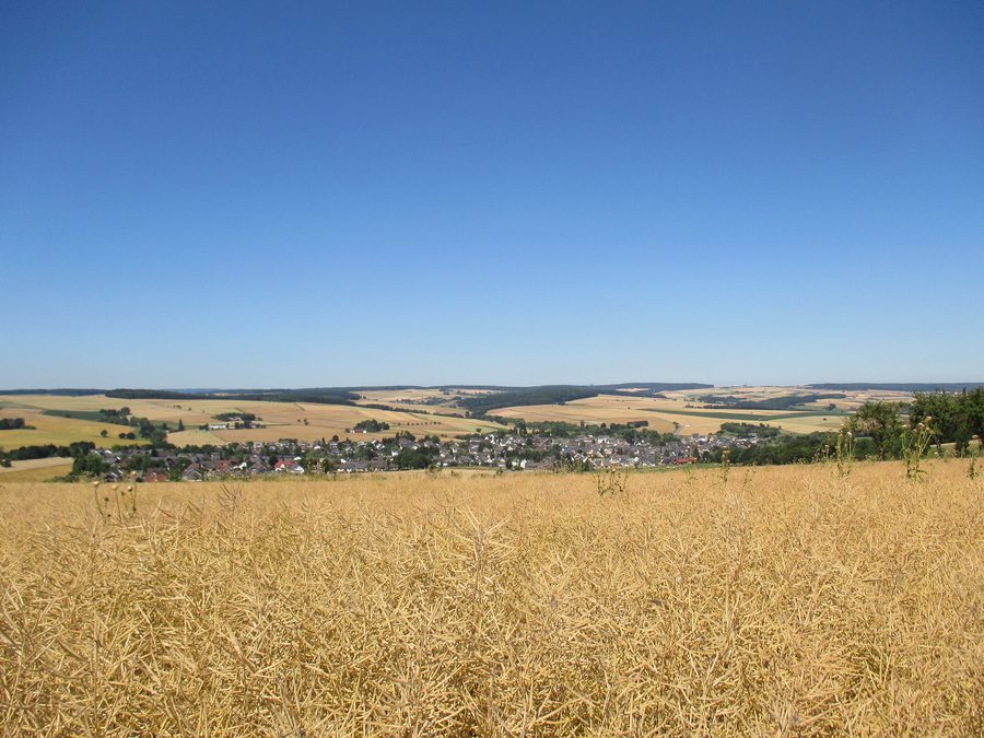 Paysage rural près de Miehlen dans le Taunus en Rhénanie-Palatinat