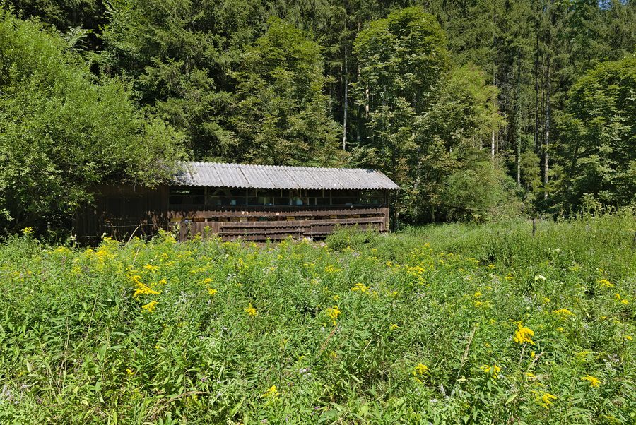 La vallée du Weißenbach près de Reichraming en Haute-Autriche