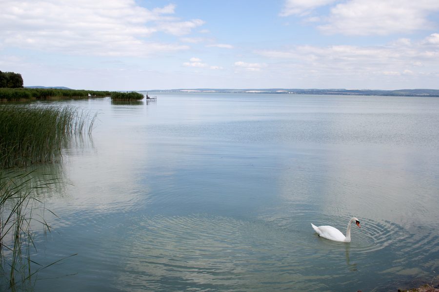 Vue depuis la jetée de Balatonakali sur le Balaton vers l’est