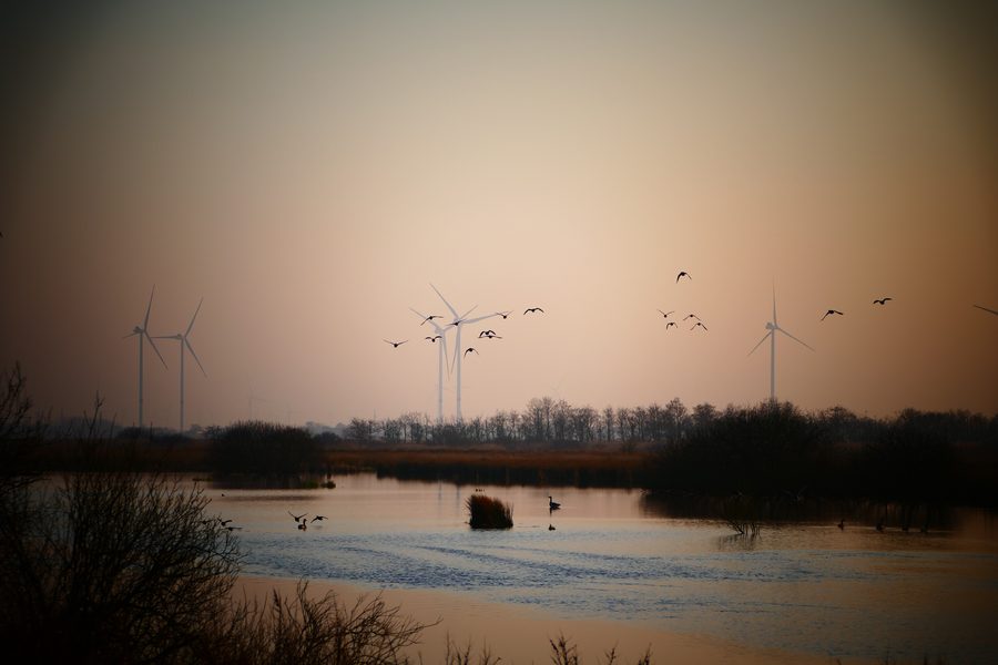 Paysage à l'extrémité sud de la dépression de Lunden près de Rehm-Flehde-Bargen