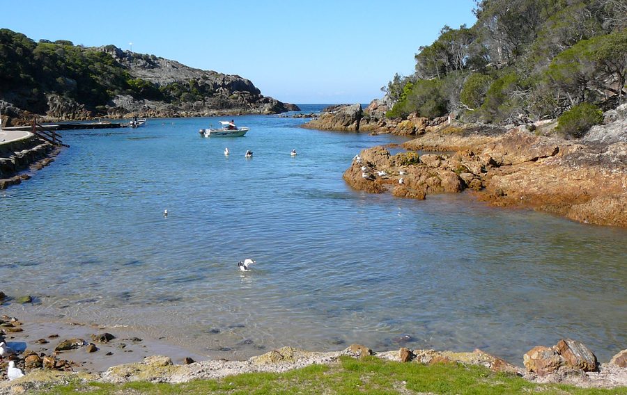 Kianinny Bay avec baie protégée et paysage côtier près de Tathra