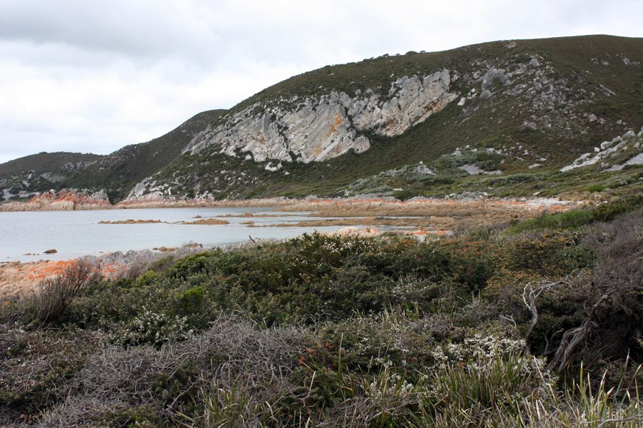 Paysage côtier dans le Rocky Cape National Park en Tasmanie