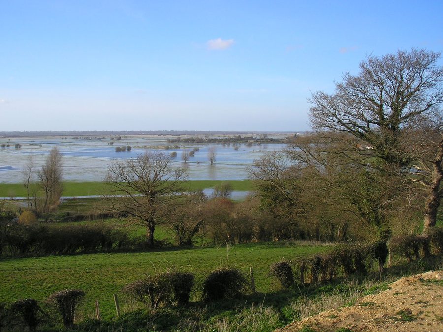 Vue sur les marais du Cotentin près de Graignes en Normandie