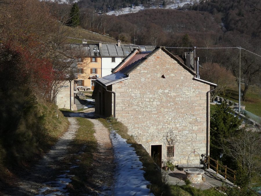 Un aperçu de Merli à Bosco Chiesanuova, Vénétie, Italie