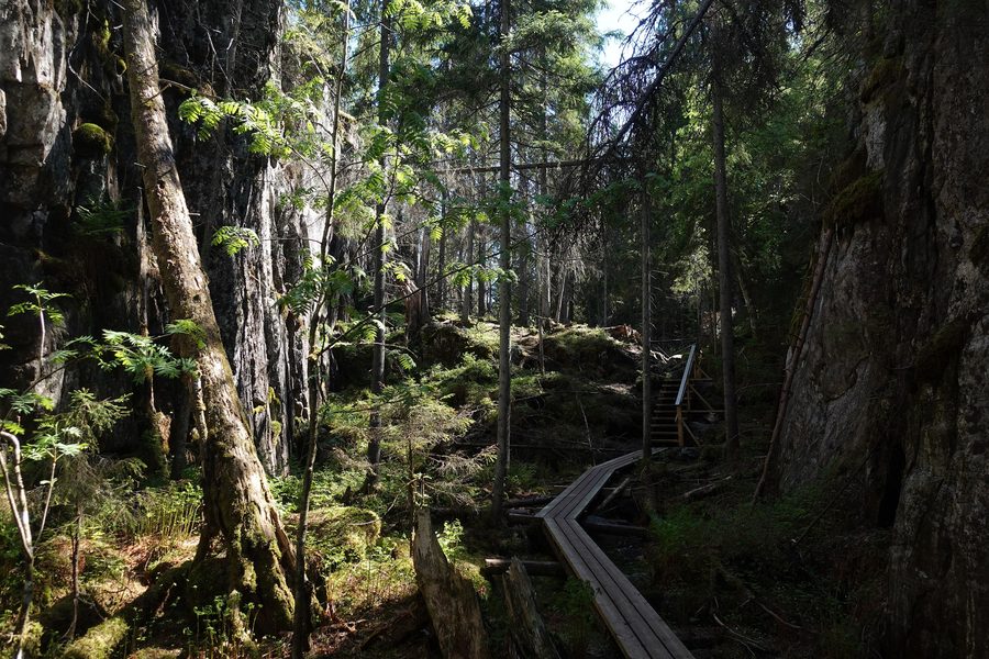 Gorge d’Orinoro près de Leppävirta