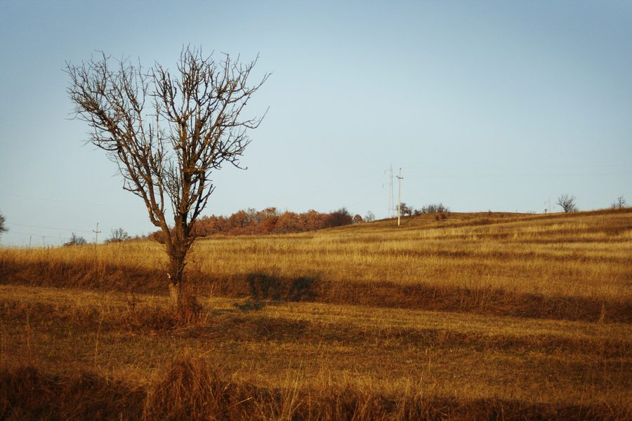 Environnement rural de Përlepnicë dans la commune de Gjilan